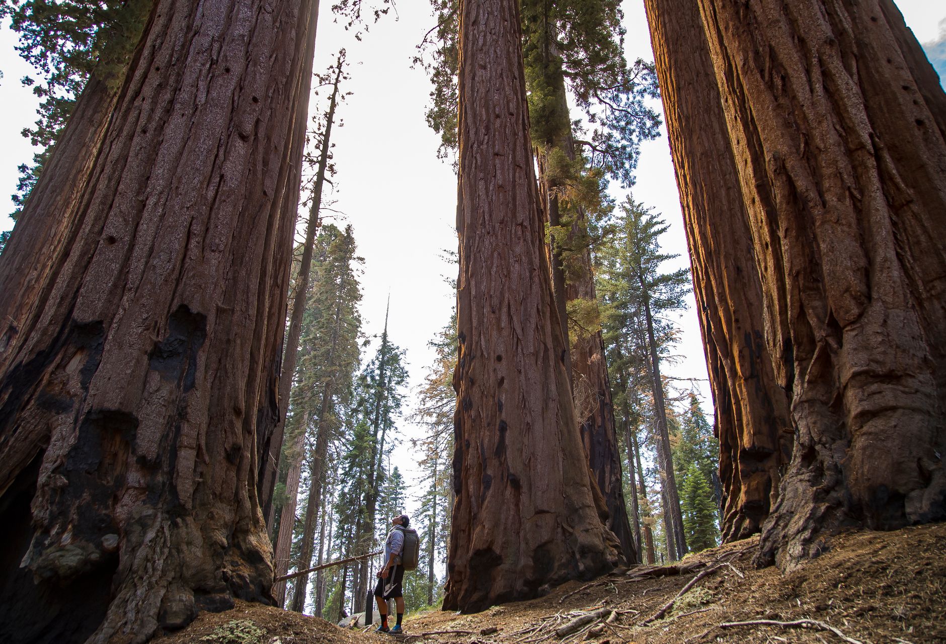 California national parks loop tour landscape scene