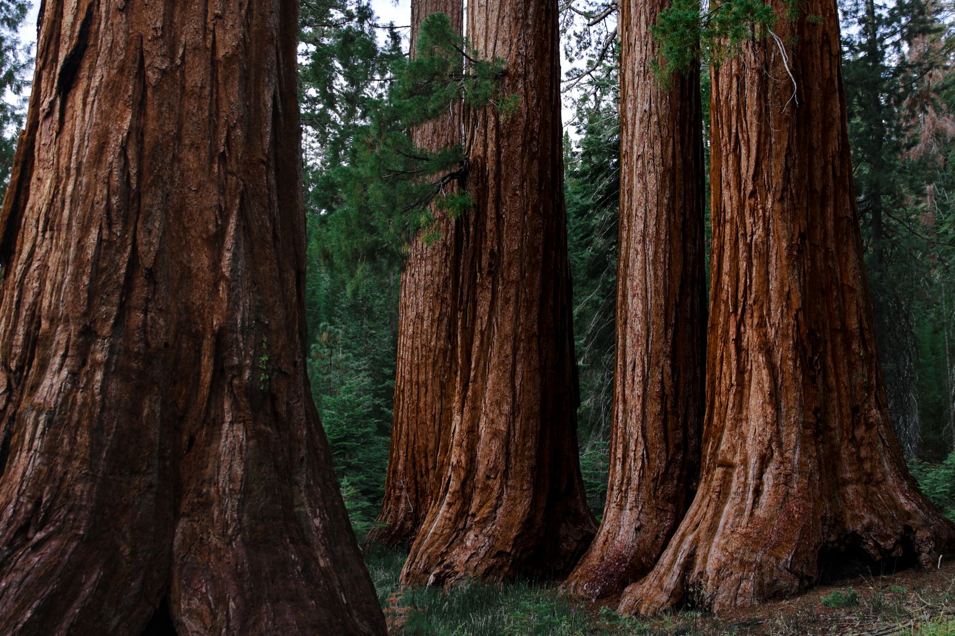 California National Parks Loop Tour