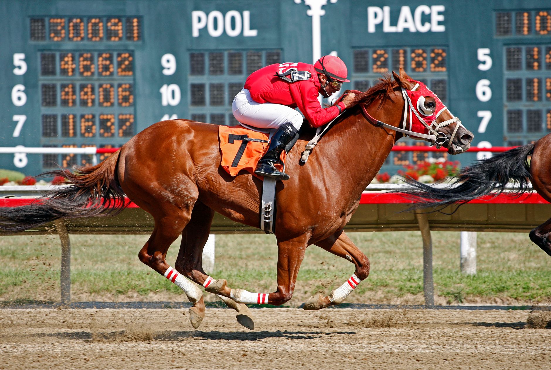 Multi-Day Kentucky Derby Group Travel