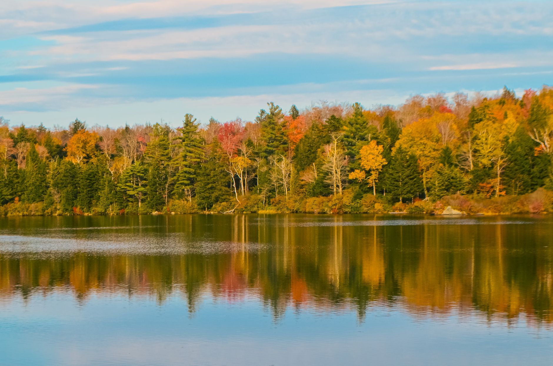 New England Fall Foliage Tour
