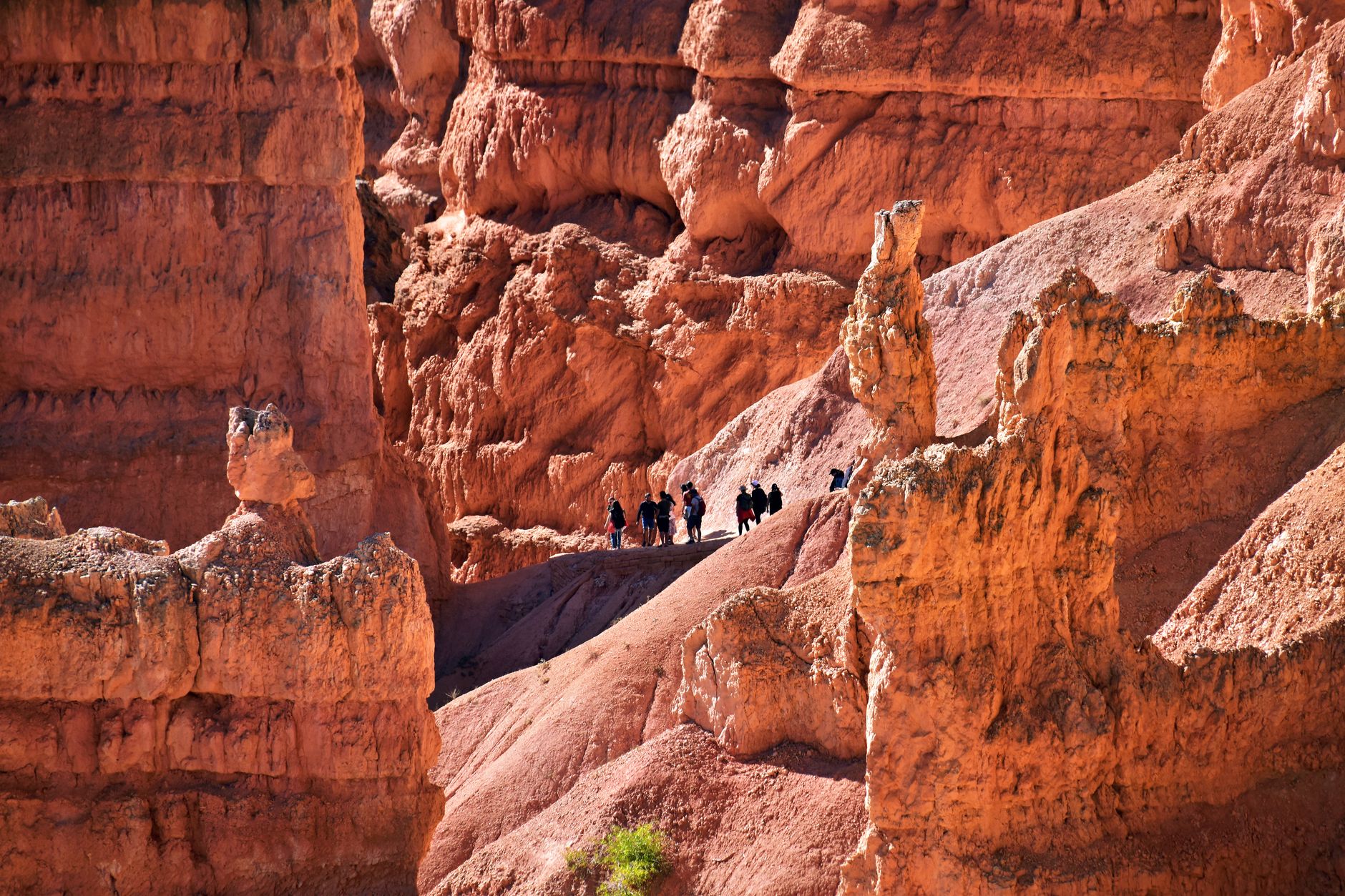 Zion National Park red rock canyon group bus tour view scene