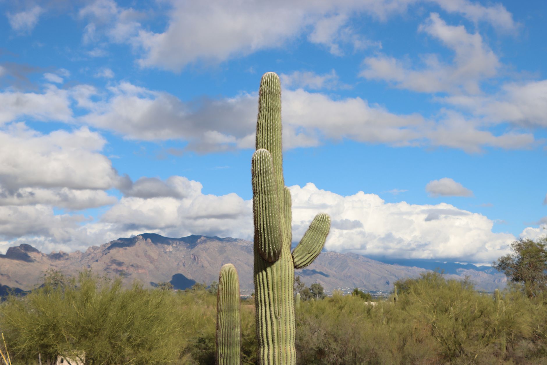 Phoenix, AZ to Tucson, AZ - US Bus Trips