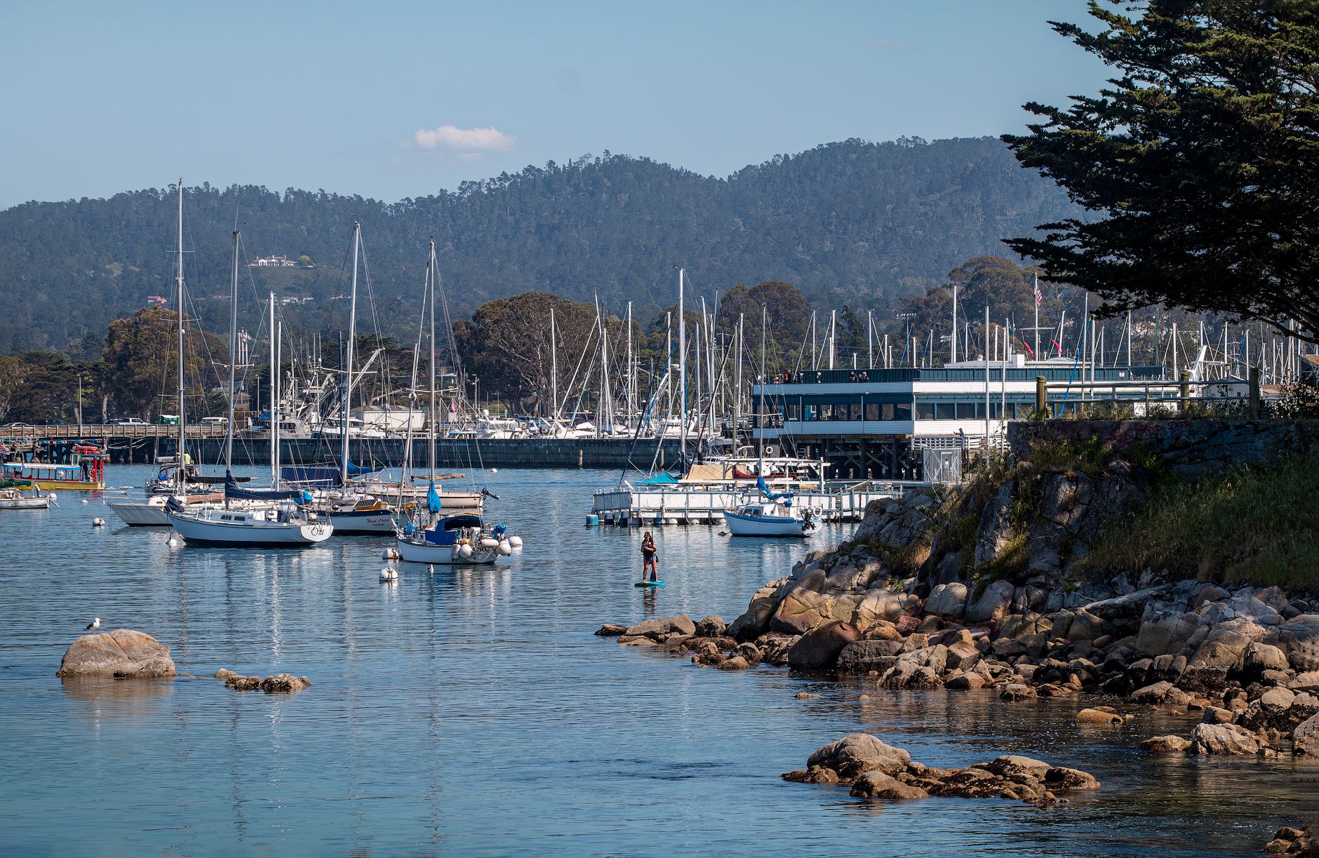 San Francisco, CA to Monterey, CA - US Bus Trips